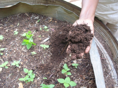 Free Compost Classes - Sign up TODAY!