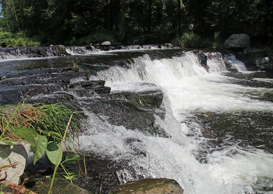 HIKE EVENT: New trail leads to waterfall at Paradise-Price Preserve
