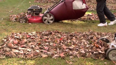 Bagged Leaf Drop-Off