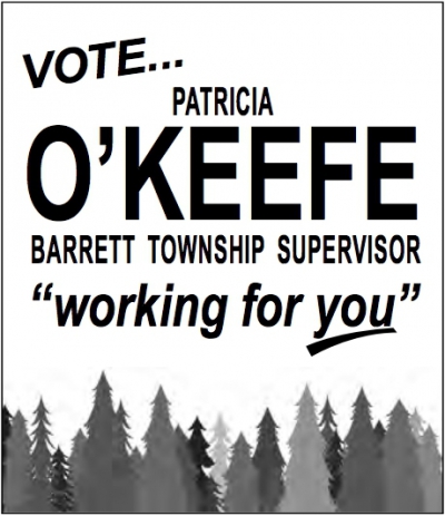 Vote Patricia O&#039;Keefe for Barrett Township Supervisor (2015)