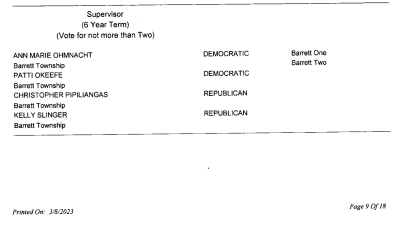 Primary Election 2023 Supervisor Candidates