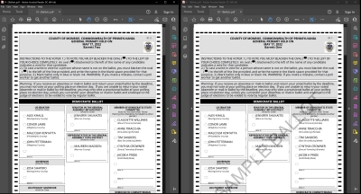 Sample Ballots: May Primary (2022)