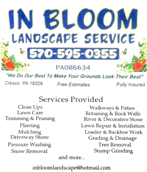 In Bloom Landscape Service